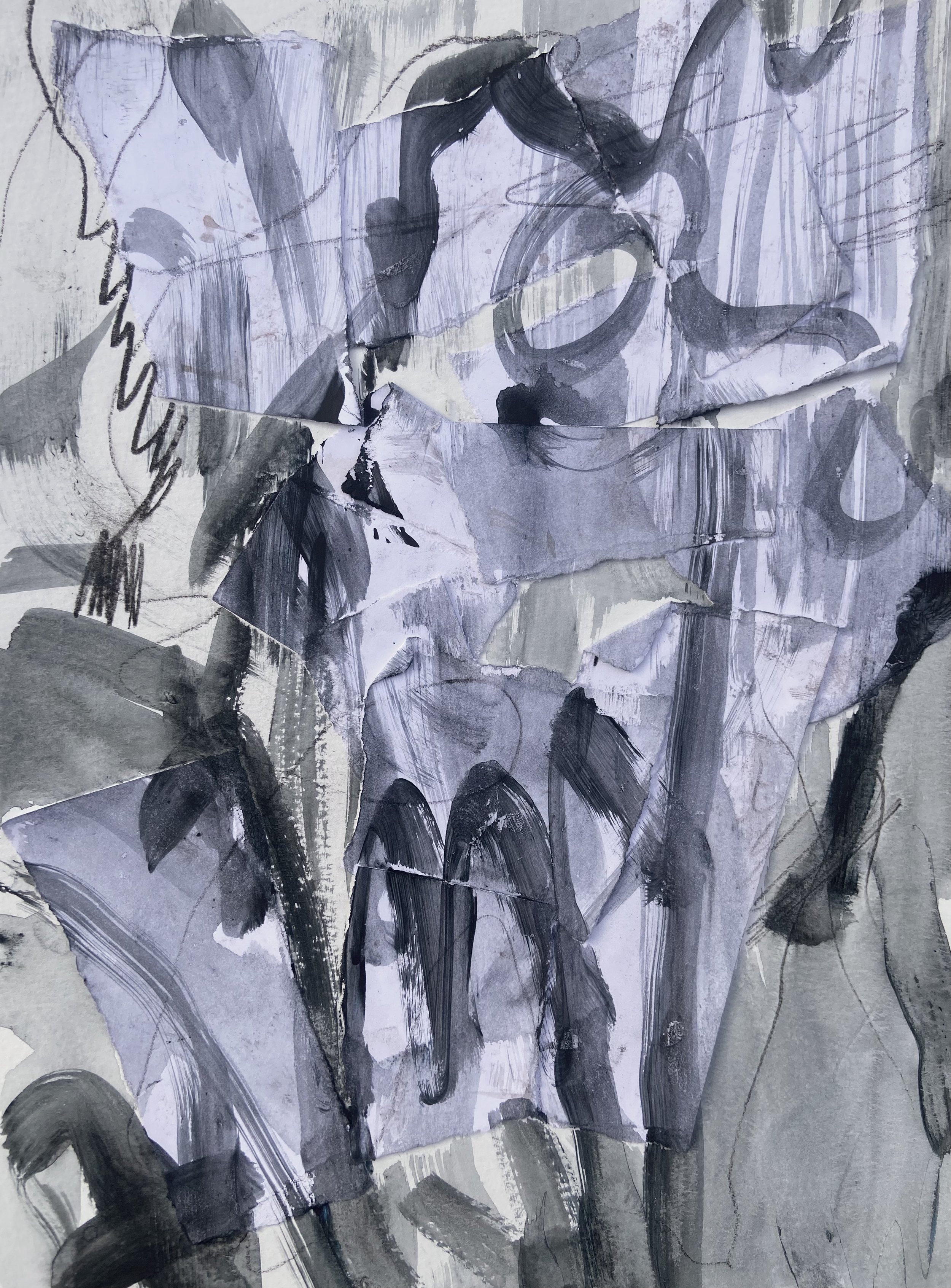 Is anything black and white? — Nicole Sylvia Javorsky